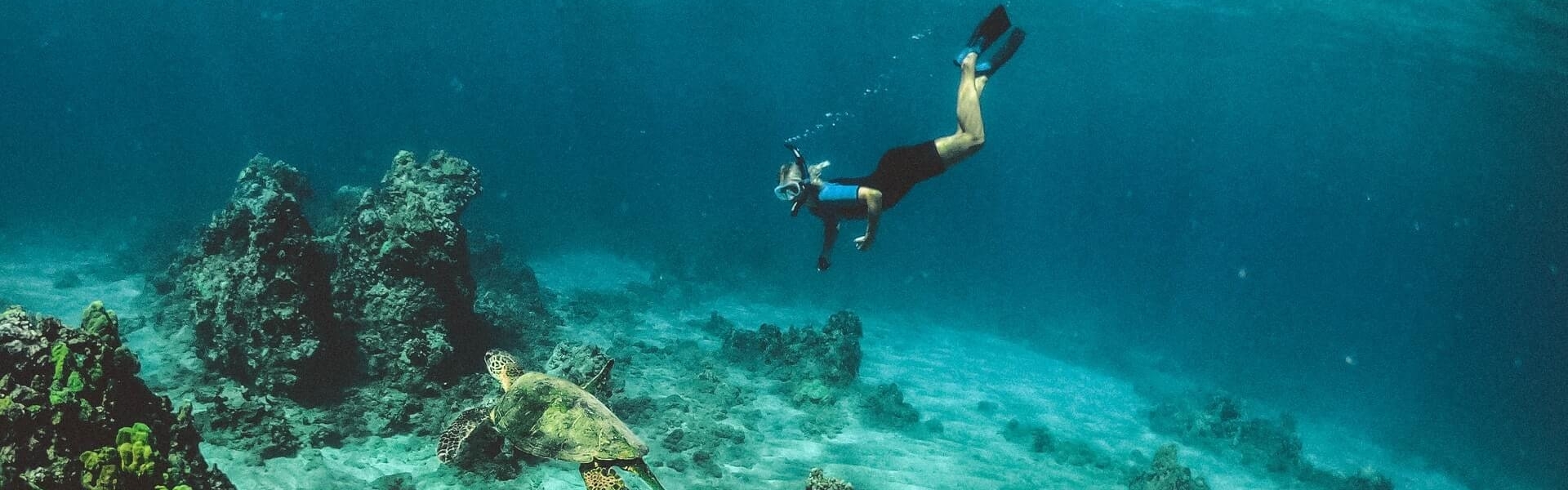 Scuba Diving Charter in Boyton Beach