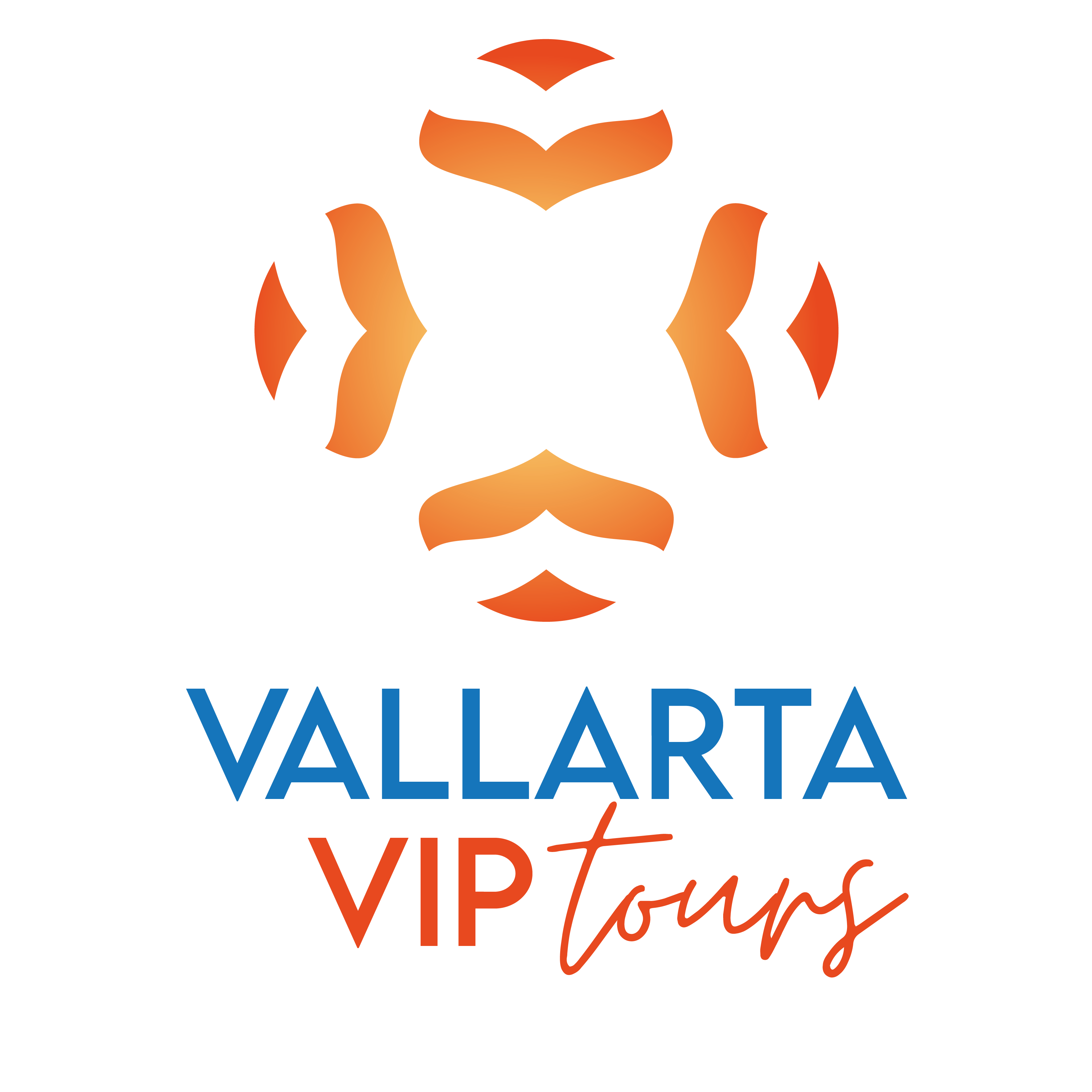 Vallarta Vip Tours